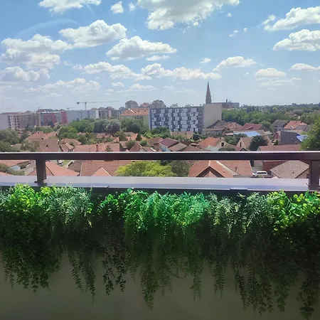 Lux Jelacik * Subotica