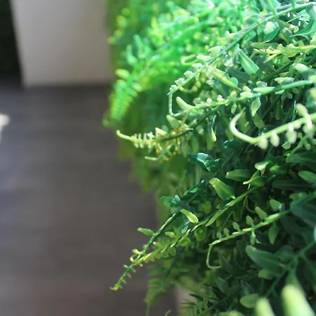 Apartamento Lux Jelacik *