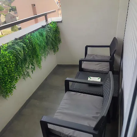 Lux Jelacik * Subotica