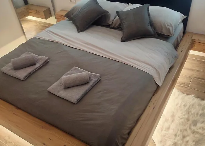 Lux Jelacik 아파트 *