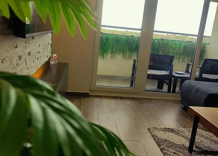 Lux Jelacik 아파트 수보티차