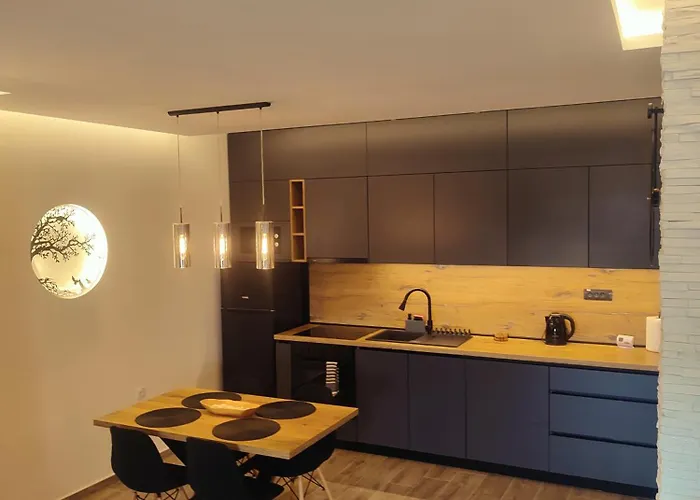 Lux Jelacik 아파트 수보티차