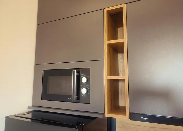 Lux Jelacik 아파트 *